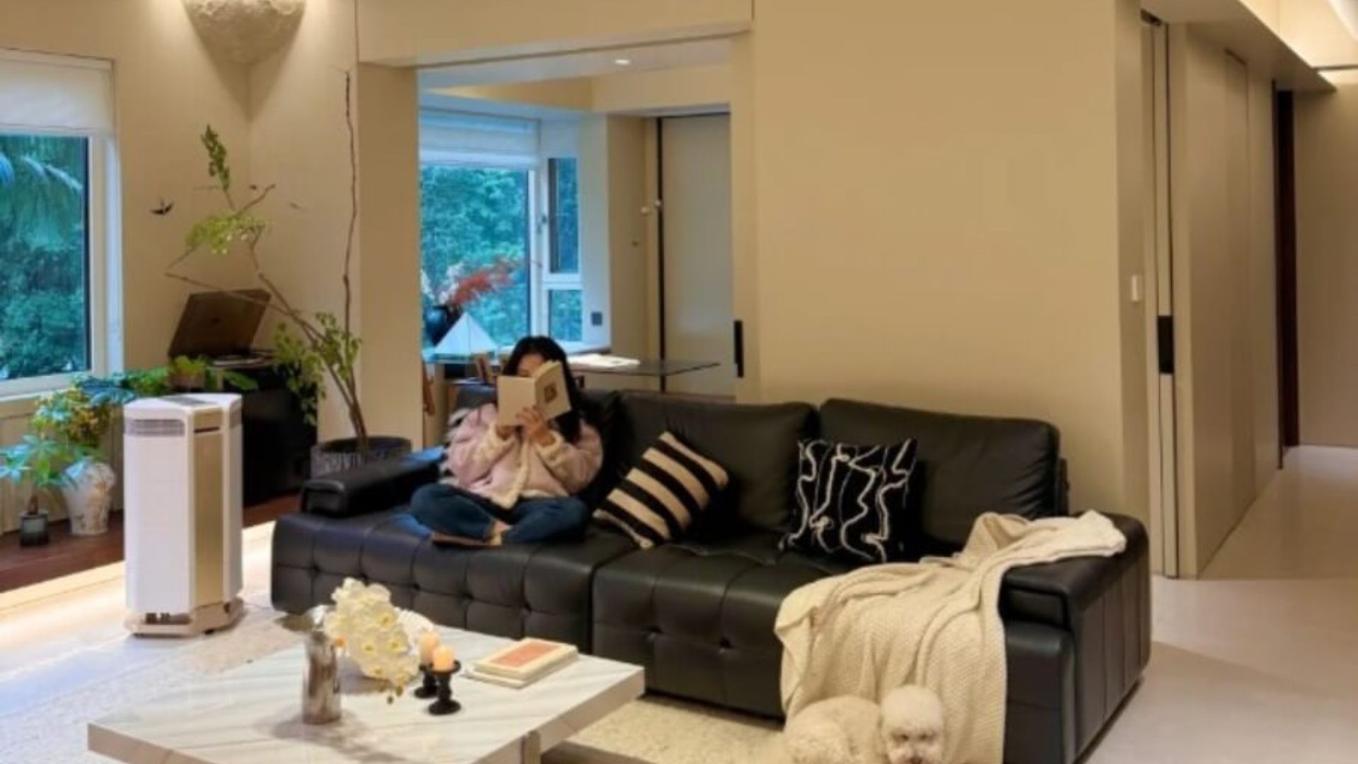 cách xử lý bụi mịn trong không khí